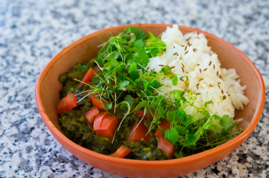 Bowl mit Reis und indischem Gericht